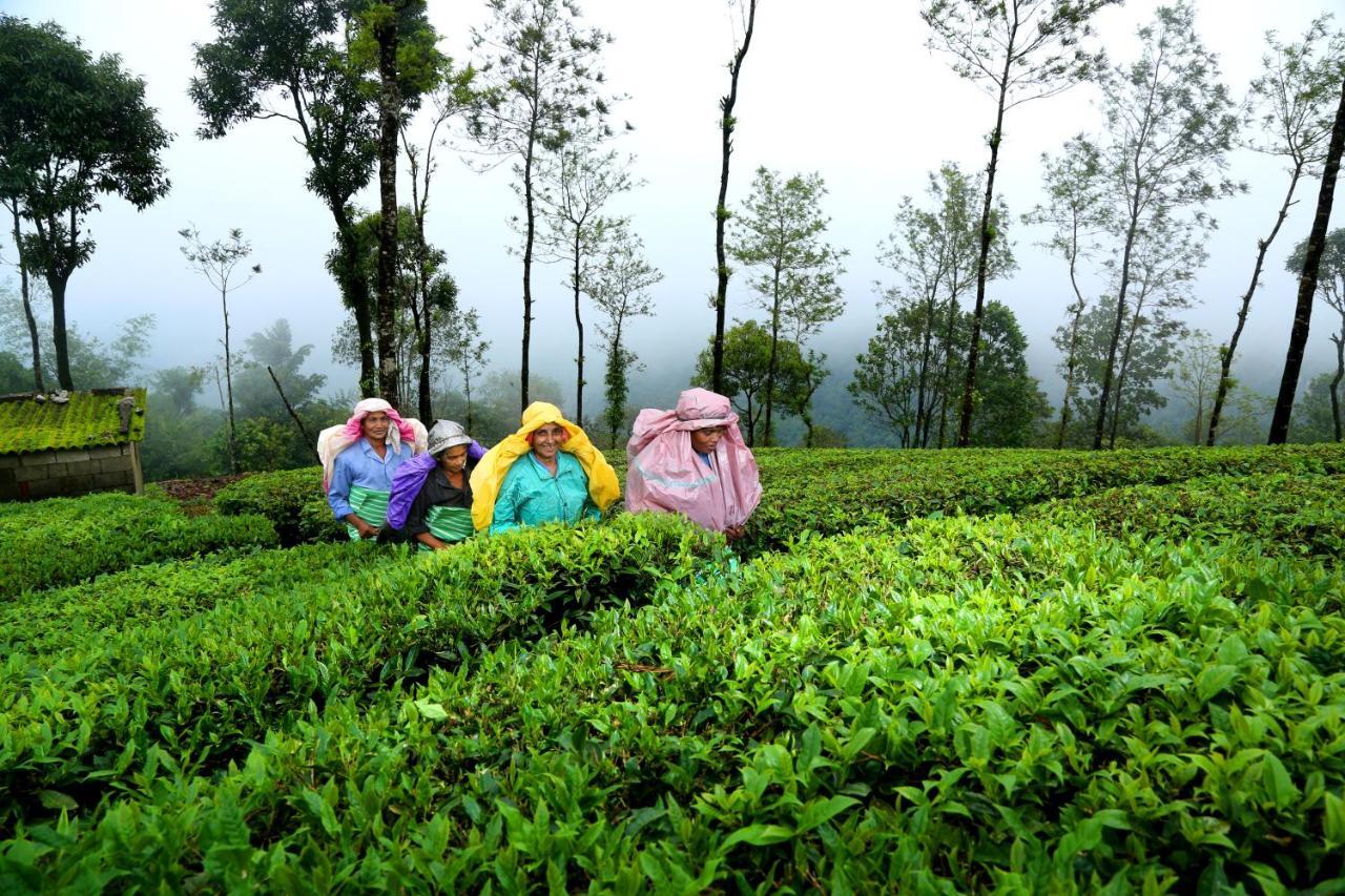 Winter Vale Green Stay Resorts Vagamon Exterior foto